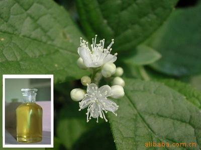 查檀香油价格找吉安市森海香料有限公司